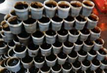 Segar Menyehatkan untuk Berbuka Puasa