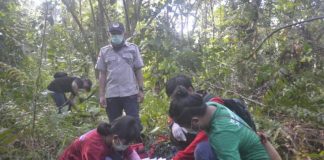 Lepasliar Tiga Orangutan di Sungai Kubang