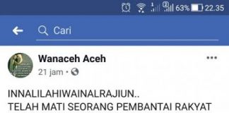 Cek Fakta: Heboh Kabar Mantan Kepala BIN Hendropriyono Meninggal di Singapura