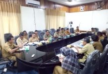 BKPM Kaji Peluang Investasi Pengolahan Ubi Kayu