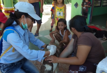 Vaksin Hewan Gratis Cegah Rabies di Landak