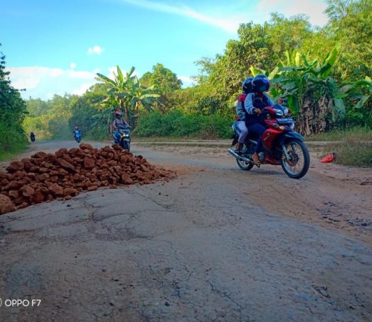 Rusak Parah, Warga Minta Pemprov Segera Perbaiki Jalan Kota Sekadau-RTM