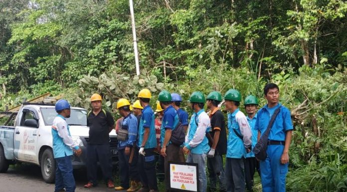 Perjuangan Petugas PLN Menghadirkan Listrik di Batas Negeri