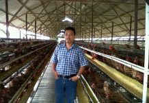 BOSAN JADI KARYAWAN, PULKAM JADI JURAGAN