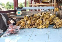 Dagangan Busuk Modal Tak Kembali