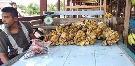 Dagangan Busuk Modal Tak Kembali