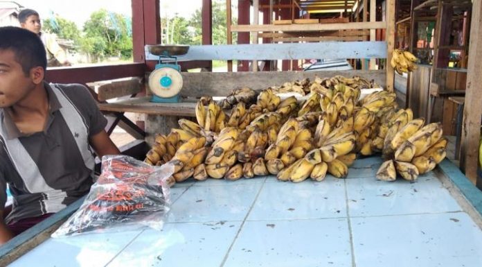 Dagangan Busuk Modal Tak Kembali