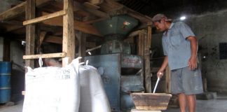 Penggiling Portabel Bakal Disalurkan untuk Petani Kalbar