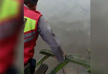 Sesosok Mayat Ditemukan Mengapung di Aliran Sungai Pawan