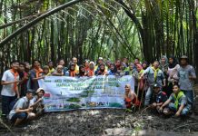 Penanaman Mangrove Kado Istimewa untuk Planet Bumi