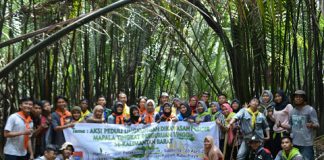 Penanaman Mangrove Kado Istimewa untuk Planet Bumi