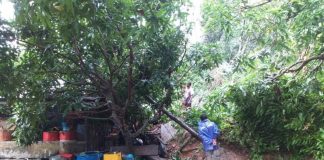 Longsor Hantam Rumah dan Sekolah di Karimata