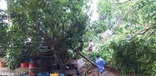 Longsor Hantam Rumah dan Sekolah di Karimata