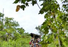 Danau Sentarum Jadi Destinasi Libur Lebaran