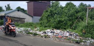 Tempatkan Bak Sampah di Dekat Jembatan Teluk Melano