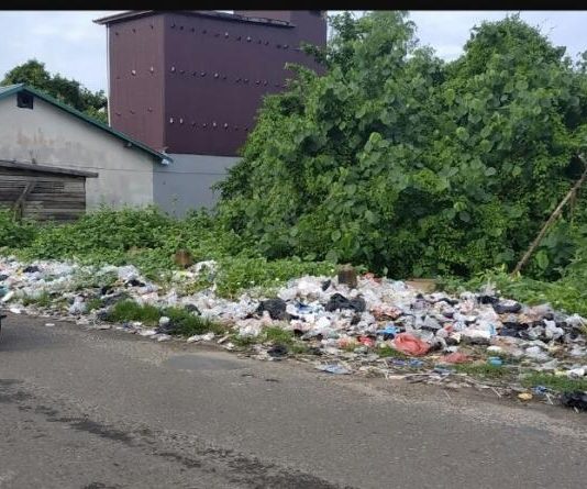 Tempatkan Bak Sampah di Dekat Jembatan Teluk Melano
