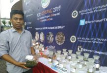 Aquatic Plant, Bisnis Menjanjikan yang Dilirik Pasar Dunia