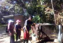 Sinka Zoo Bantah Beruang Madu Sakit