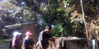 Sinka Zoo Bantah Beruang Madu Sakit