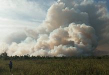 Lima Puluh Hektar Hutan Terbakar di Sungai Pinyuh