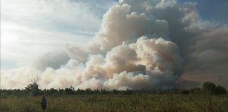 Lima Puluh Hektar Hutan Terbakar di Sungai Pinyuh