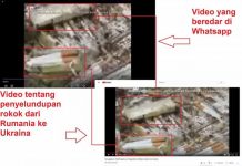 Cek Fakta: Gelondongan Kayu Berisi Amunisi dan Sabu dari China