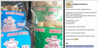 Cek Fakta: Kerupuk Babi Berlabel Halal