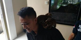 Ingatkan Ancaman Pidana Jual Beli Satwa Langka