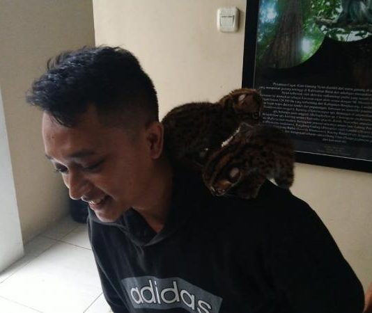 Ingatkan Ancaman Pidana Jual Beli Satwa Langka