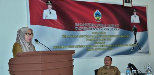 Transisi Politik Berdampak pada Penyusunan APBD 2020