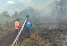 Sehektar Lahan Terbakar di Rasau