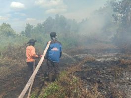Sehektar Lahan Terbakar di Rasau