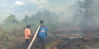 Sehektar Lahan Terbakar di Rasau
