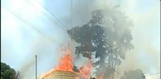 Api Gasak Dua Gedung Milik Pemerintah di Sukadana