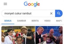 Cek Fakta: Searching Monyet Cukur Rambut, Keluar Foto Jokowi dan Trump