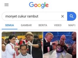 Cek Fakta: Searching Monyet Cukur Rambut, Keluar Foto Jokowi dan Trump
