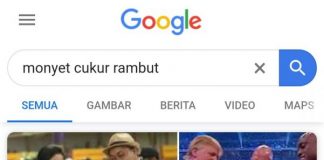 Cek Fakta: Searching Monyet Cukur Rambut, Keluar Foto Jokowi dan Trump