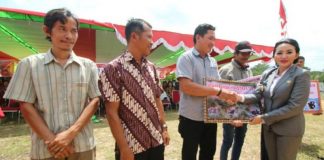 Dana Desa Bantu Pembangunan Sektor Pertanian