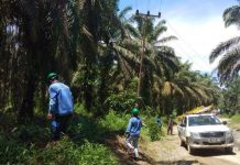 Komitmen Tekan Intensitas Gangguan, PLN Bengkayang Laksanakan Program ‘Perang Padam’