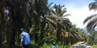 Komitmen Tekan Intensitas Gangguan, PLN Bengkayang Laksanakan Program ‘Perang Padam’