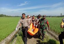 Perempuan Tanpa Busana Ditemukan Tewas di Sawah