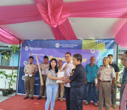 Kementan Dorong Kalbar Olah Komoditi Biji Pinang