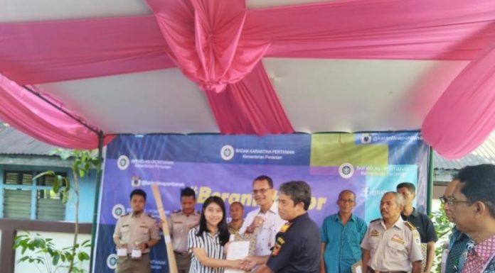 Kementan Dorong Kalbar Olah Komoditi Biji Pinang