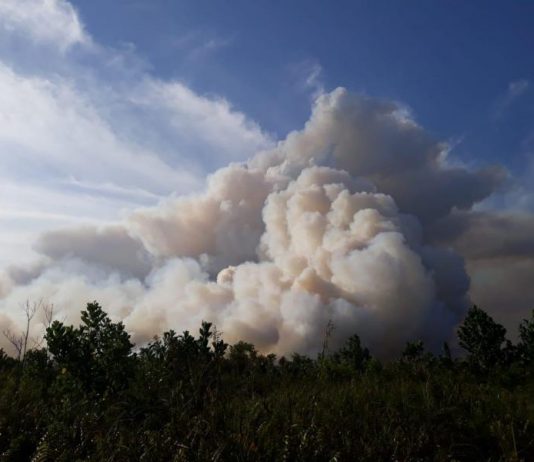 Karhutla di Sungai Pinyu Terus Meluas