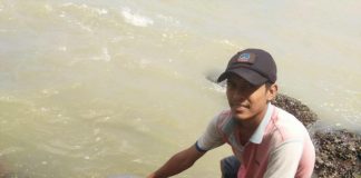 Warga Temukan Bangkai Lumba-Lumba Dibibir Pantai Penibung