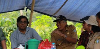 Kembangkan Potensi Budidaya Teh di Sintang