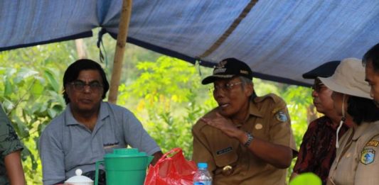 Kembangkan Potensi Budidaya Teh di Sintang