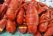 Ekpor Meningkat, Tetap Lanjutkan Budidaya dan Jaga Kelestarian Laut