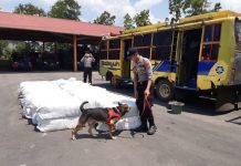 Tak Berdokumen, 2.450 Pasang Sepatu asal Malaysia Disita