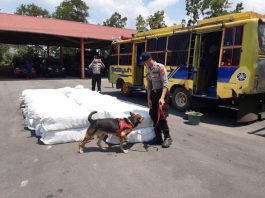 Tak Berdokumen, 2.450 Pasang Sepatu asal Malaysia Disita